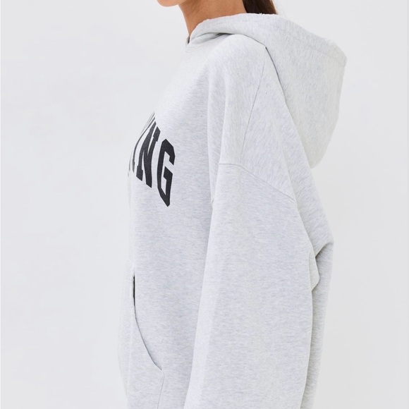 Anine Bing Harvey Hoodie distressed sweatshirt, Heather Grey, XS - Picture 3 of 11